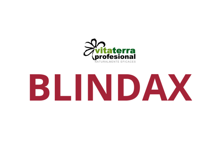 Blindax