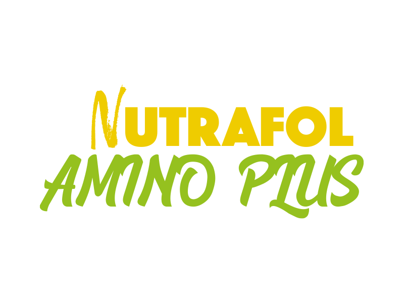 Nutrafol Amino Plus